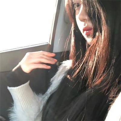 两个伙伴和一只獾